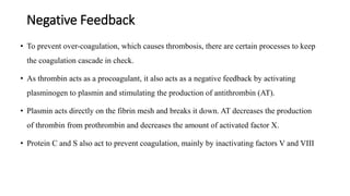 Negative Feedback
• To prevent over-coagulation, which causes thrombosis, there are certain processes to keep
the coagulation cascade in check.
• As thrombin acts as a procoagulant, it also acts as a negative feedback by activating
plasminogen to plasmin and stimulating the production of antithrombin (AT).
• Plasmin acts directly on the fibrin mesh and breaks it down. AT decreases the production
of thrombin from prothrombin and decreases the amount of activated factor X.
• Protein C and S also act to prevent coagulation, mainly by inactivating factors V and VIII
 