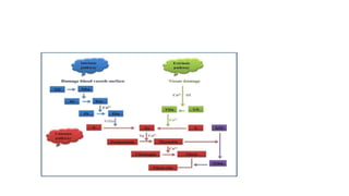 Coagulation pathway.pptx
