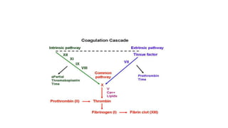 Coagulation pathway.pptx