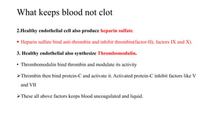 What keeps blood not clot
2.Healthy endothelial cell also produce heparin sulfate.
 Heparin sulfate bind anti-thrombin and inhibit thrombin(factor-II), factors IX and X).
3. Healthy endothelial also synthesize Thrombomodulin.
• Thrombomodulin bind thrombin and modulate its activity
Thrombin then bind protein-C and activate it. Activated protein-C inhibit factors like V
and VII
These all above factors keeps blood uncoagulated and liquid.
 