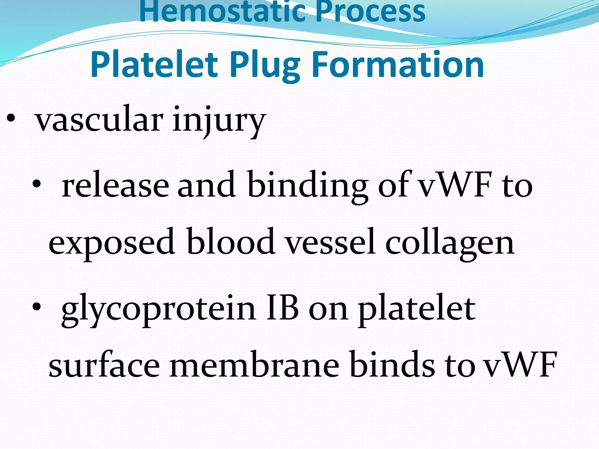 Hemostatic Process 
Platelet Plug Formation 
• vascular injury 
• release and binding of vWF to 
exposed blood vessel collagen 
• glycoprotein IB on platelet 
surface membrane binds to vWF 
 