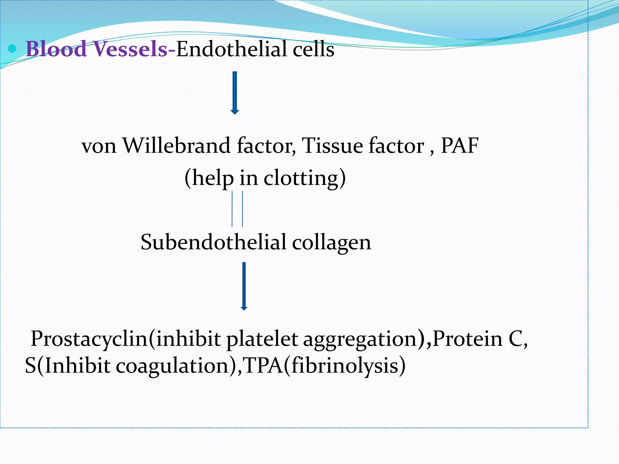  Blood Vessels-Endothelial cells 
von Willebrand factor, Tissue factor , PAF 
(help in clotting) 
Subendothelial collagen 
Prostacyclin(inhibit platelet aggregation),Protein C, 
S(Inhibit coagulation),TPA(fibrinolysis) 
 