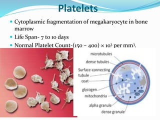 Platelets 
 Cytoplasmic fragmentation of megakaryocyte in bone 
marrow 
 Life Span- 7 to 10 days 
 Normal Platelet Count-(150 – 400) × 103 per mm3. 
 