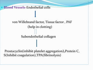  Blood Vessels-Endothelial cells 
von Willebrand factor, Tissue factor , PAF 
(help in clotting) 
Subendothelial collagen 
Prostacyclin(inhibit platelet aggregation),Protein C, 
S(Inhibit coagulation),TPA(fibrinolysis) 
 