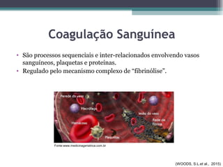 Coagulação Sanguínea
• São processos sequenciais e inter-relacionados envolvendo vasos
sanguíneos, plaquetas e proteínas.
• Regulado pelo mecanismo complexo de “fibrinólise”.
Fonte:www.medicinageriatrica.com.br
(WOODS, S.L.et al., 2015)
 
