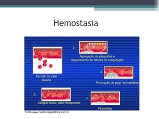 Hemostasia
Fonte:www.medicinageriatrica.com.br
 
