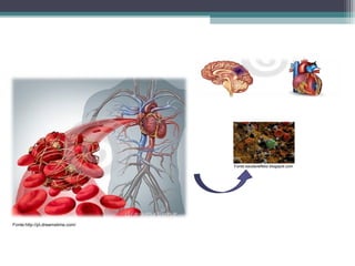 Fonte:http://pt.dreamstime.com/
Fonte:saudavelfeliz.blogspot.com
 