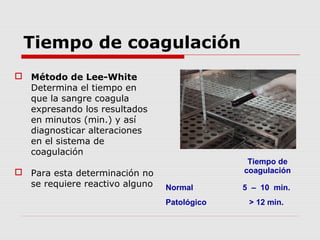 Tiempo de coagulación
 Método de Lee-White
Determina el tiempo en
que la sangre coagula
expresando los resultados
en minutos (min.) y así
diagnosticar alteraciones
en el sistema de
coagulación
 Para esta determinación no
se requiere reactivo alguno
Tiempo de
coagulación
Normal 5 – 10 min.
Patológico > 12 min.
 