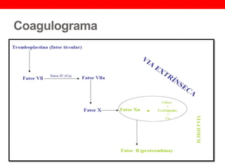 Coagulograma
 
