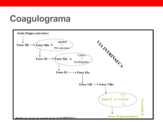 Coagulograma
 