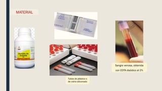 MATERIAL
Sangre venosa, obtenida
con EDTA disódico al 2%
Tubos de plástico o
de vidrio siliconado
 