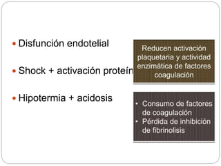  Disfunción endotelial
 Shock + activación proteína C
 Hipotermia + acidosis
 