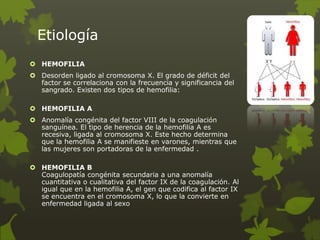 Etiología
 HEMOFILIA
 Desorden ligado al cromosoma X. El grado de déficit del
factor se correlaciona con la frecuencia y significancia del
sangrado. Existen dos tipos de hemofilia:
 HEMOFILIA A
 Anomalía congénita del factor VIII de la coagulación
sanguínea. El tipo de herencia de la hemofilia A es
recesiva, ligada al cromosoma X. Este hecho determina
que la hemofilia A se manifieste en varones, mientras que
las mujeres son portadoras de la enfermedad .
 HEMOFILIA B
Coagulopatía congénita secundaria a una anomalía
cuantitativa o cualitativa del factor IX de la coagulación. Al
igual que en la hemofilia A, el gen que codifica al factor IX
se encuentra en el cromosoma X, lo que la convierte en
enfermedad ligada al sexo
 
