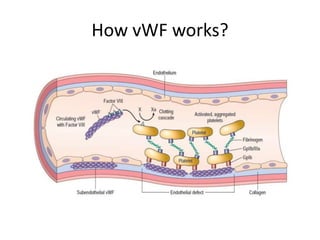 Coagulopathy | PPTX