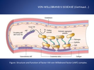 VON-WILLIBRAND’S DISEASE (Continued….)
Figure: Structure and function of factor VIII-von Willebrand factor (vWF) complex.
 