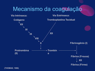 Mecanismo da coagulação
Via Intrínseca:
Colágeno
Via Extrínseca:
Tromboplastina Tecidual
XII
XI
IX
VIII
XII
Fibrinogênio (I)
Fibrina (Frouxa)
Fibrina (Firme)
X
XII
Trombin
a
Protrombina
(II)
(THOMAS; 1996)
 