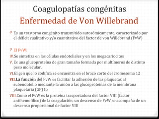 Coagulopatías congénitas Es un trastorno congénito transmitido autosómicamente, caracterizado por el déficit cualitativo y/o cuantitativo del factor de von Willebrand (FvW) El FvW:   Se sintetiza en las células endoteliales y en los megacariocitos Es una glucoproteína de gran tamaño formada por multímeros de distinto peso molecular. El gen que lo codifica se encuentra en el brazo corto del cromosoma 12 La función  del FvW es facilitar la adhesión de las plaquetas al subendotelio mediante la unión a las glucoproteínas de la membrana plaquetaria  (GP) Ib Como el FvW es la proteína trasportadora del factor VIII (factor antihemofilico) de la coagulación, un descenso de FvW se acompaña de un descenso proporcional de factor VIII Enfermedad de Von Willebrand 