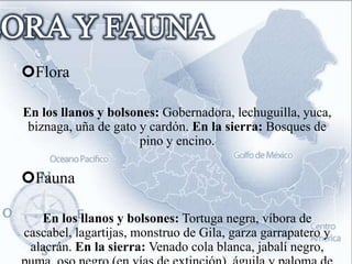 Flora

En los llanos y bolsones: Gobernadora, lechuguilla, yuca,
 biznaga, uña de gato y cardón. En la sierra: Bosques de
                      pino y encino.

Fauna

   En los llanos y bolsones: Tortuga negra, víbora de
cascabel, lagartijas, monstruo de Gila, garza garrapatero y
 alacrán. En la sierra: Venado cola blanca, jabalí negro,
 