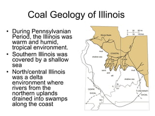 Coal Geology of Illinois During Pennsylvanian Period, the Illinois was warm and humid, tropical environment.  Southern Illinois was covered by a shallow sea North/central Illinois was a delta environment where rivers from the northern uplands drained into swamps along the coast  