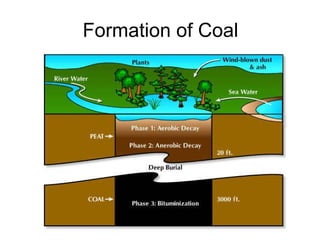 Formation of Coal 