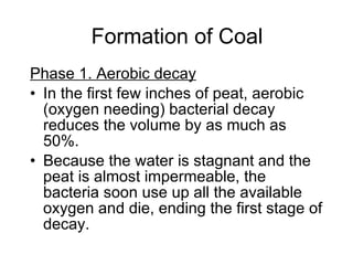 Formation of Coal Phase 1. Aerobic decay   In the first few inches of peat, aerobic (oxygen needing) bacterial decay reduces the volume by as much as 50%.  Because the water is stagnant and the peat is almost impermeable, the bacteria soon use up all the available oxygen and die, ending the first stage of decay. 