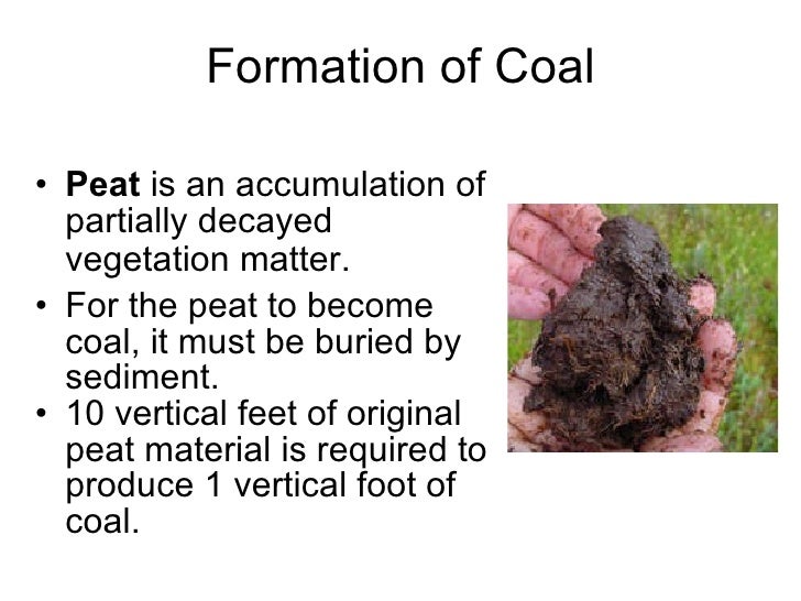 Coal
