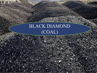 BLACK DIAMOND
(COAL)
 