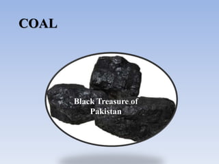 Black Treasure of
Pakistan
COAL
 