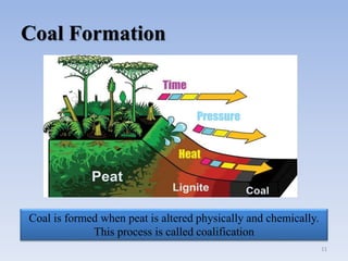 Coal Formation
Coal is formed when peat is altered physically and chemically.
This process is called coalification
11
 