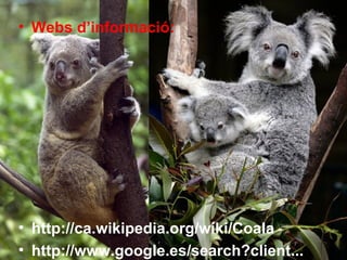 • Webs d’informació:




• http://ca.wikipedia.org/wiki/Coala
• http://www.google.es/search?client...
 
