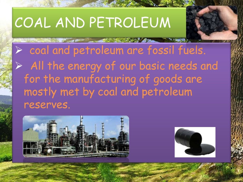 Coal and petroleum