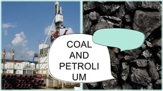 COAL
AND
PETROLI
UM
 