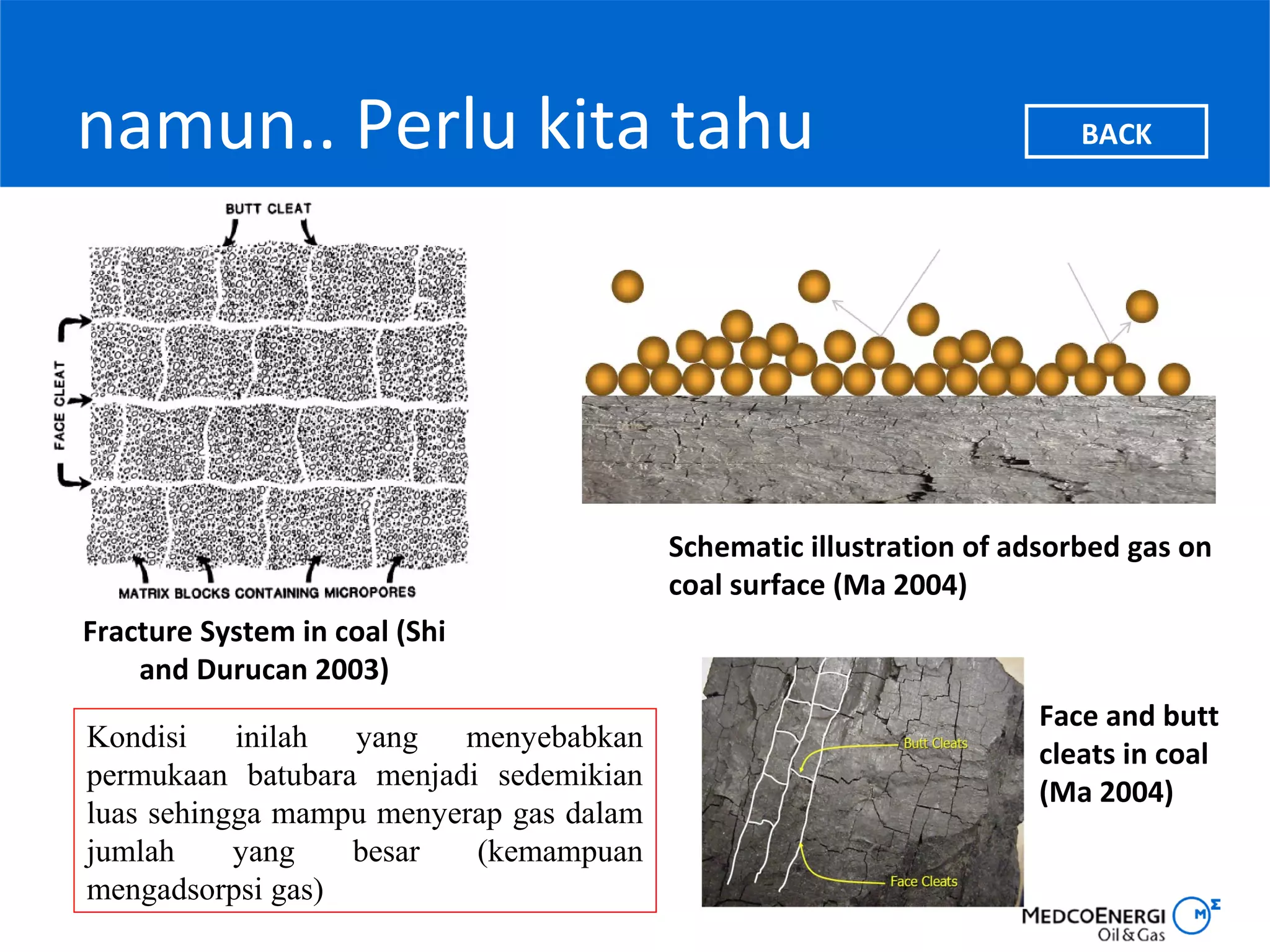 INDONESIA Coalbed methane (cbm) IN GENERAL | PPT
