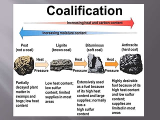 COAL Final.pptx