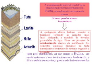 •A acumulação do material vegetal vai-se
                  progressivamente transformando em
                 Turfa, um sedimento extremamente
                                poroso;
                        Maiores pressões maiores
                             temperaturas



            •A conjugação destes factores permite a
            diagénese, tornando as camadas mais
            finas, obrigando à expulsão de elevadas
            quantidades de água. Dá-se um processo de
            Incarbonização através da modificação dos
            elementos químicos presentes na turfa
            aumentando o conteúdo de carbono originado a
            Lignite ;
•Esta pelo afundimento, vai dar origem á      Hulha, um
carvão mais suava e leve. Por fim forma-se a Antracite, o
último estádio dos carvões já próxima do limite metamórfico
.
 