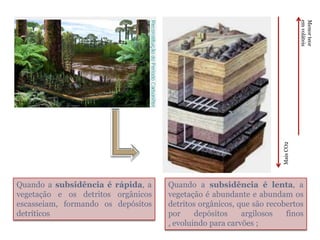 em voláteis
                                                                               Menor teor
                                                                    Mais CO2
Quando a subsidência é rápida, a    Quando a subsidência é lenta, a
vegetação e os detritos orgânicos   vegetação é abundante e abundam os
escasseiam, formando os depósitos   detritos orgânicos, que são recobertos
detríticos                          por     depósitos    argilosos   finos
                                    , evoluindo para carvões ;
 