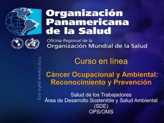 Organización
Panamericana
de la Salud
Curso en línea
Cáncer Ocupacional y Ambiental:
Reconocimiento y Prevención
Salud de los Trabajadores
Área de Desarrollo Sostenible y Salud Ambiental
(SDE)
OPS/OMS
 