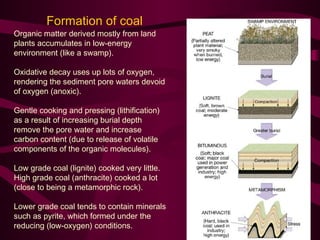 Coal petroleum | PPT