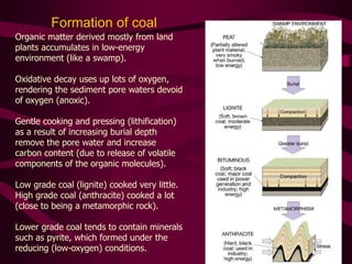 Formation of coal
Organic matter derived mostly from land
plants accumulates in low-energy
environment (like a swamp).
Oxidative decay uses up lots of oxygen,
rendering the sediment pore waters devoid
of oxygen (anoxic).
Gentle cooking and pressing (lithification)
as a result of increasing burial depth
remove the pore water and increase
carbon content (due to release of volatile
components of the organic molecules).
Low grade coal (lignite) cooked very little.
High grade coal (anthracite) cooked a lot
(close to being a metamorphic rock).
Lower grade coal tends to contain minerals
such as pyrite, which formed under the
reducing (low-oxygen) conditions.
 