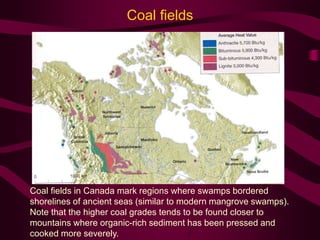 Coal fields in Canada mark regions where swamps bordered
shorelines of ancient seas (similar to modern mangrove swamps).
Note that the higher coal grades tends to be found closer to
mountains where organic-rich sediment has been pressed and
cooked more severely.
Coal fields
 