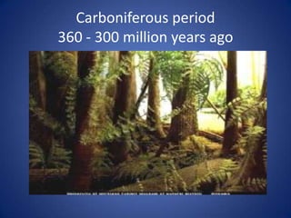 Carboniferous period 360 - 300 million years ago 
