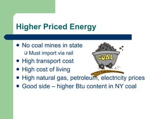 Higher Priced Energy No coal mines in state Must import via rail High transport cost High cost of living High natural gas, petroleum, electricity prices Good side – higher Btu content in NY coal 
