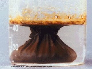 From Nelson et al. (1996) – skin on coal tar aged in water 