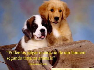 “Podemos julgar o coração de umhomem segundo trata os animais”                                   (Immanuel Kant)wwwnoticiasdorei.blogspost.com