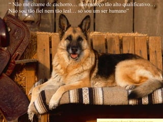“ Não me chame de cachorro… não mereço tão alto qualificativo… Não sou tão fiel nem tão leal… só sou um ser humano” wwwnoticiasdorei.blogspost.com