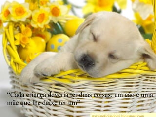 “Cada criança deveria ter duas coisas: um cão e uma mãe que lhe deixe ter um”wwwnoticiasdorei.blogspost.com