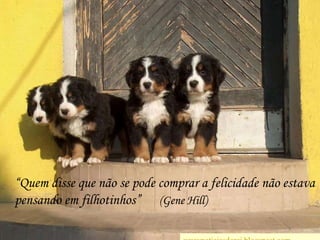“Quem disse que não se pode comprar a felicidade não estava pensando em filhotinhos”      (Gene Hill)wwwnoticiasdorei.blogspost.com