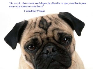 “Se um cão não vem até você depois de olhar-lhe na cara, é melhor ir para casa e examinar sua consciência”                       ( Woodrow Wilson)wwwnoticiasdorei.blogspost.com