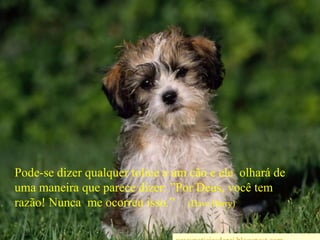 Pode-se dizer qualquer tolice a um cão e ele  olhará de uma maneira que parece dizer: ”Por Deus, você tem razão! Nunca  me ocorreu isso.”(Dave Barry) wwwnoticiasdorei.blogspost.com