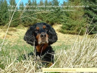 “Para fazer exercício passeie com alguém que o acompanhe de bom grado, preferentemente um cão.”    (David Brown)wwwnoticiasdorei.blogspost.com